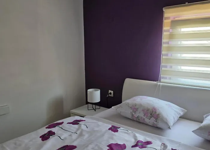 Purple Rooms